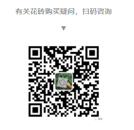 水泥花磚效果圖三